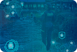 Consulta de Inhabilidades hover