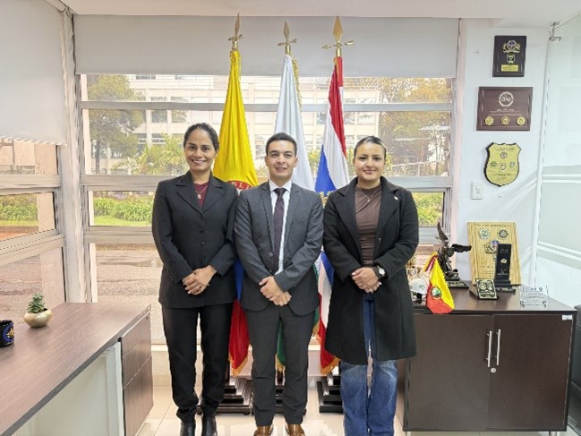 Investigación ESCIC