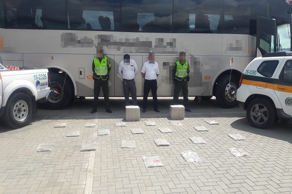 el estupefaciente estaba encaletado en un compartimiento interno del bus  10 kilos de marihuana tipo cripy fueron incautados
