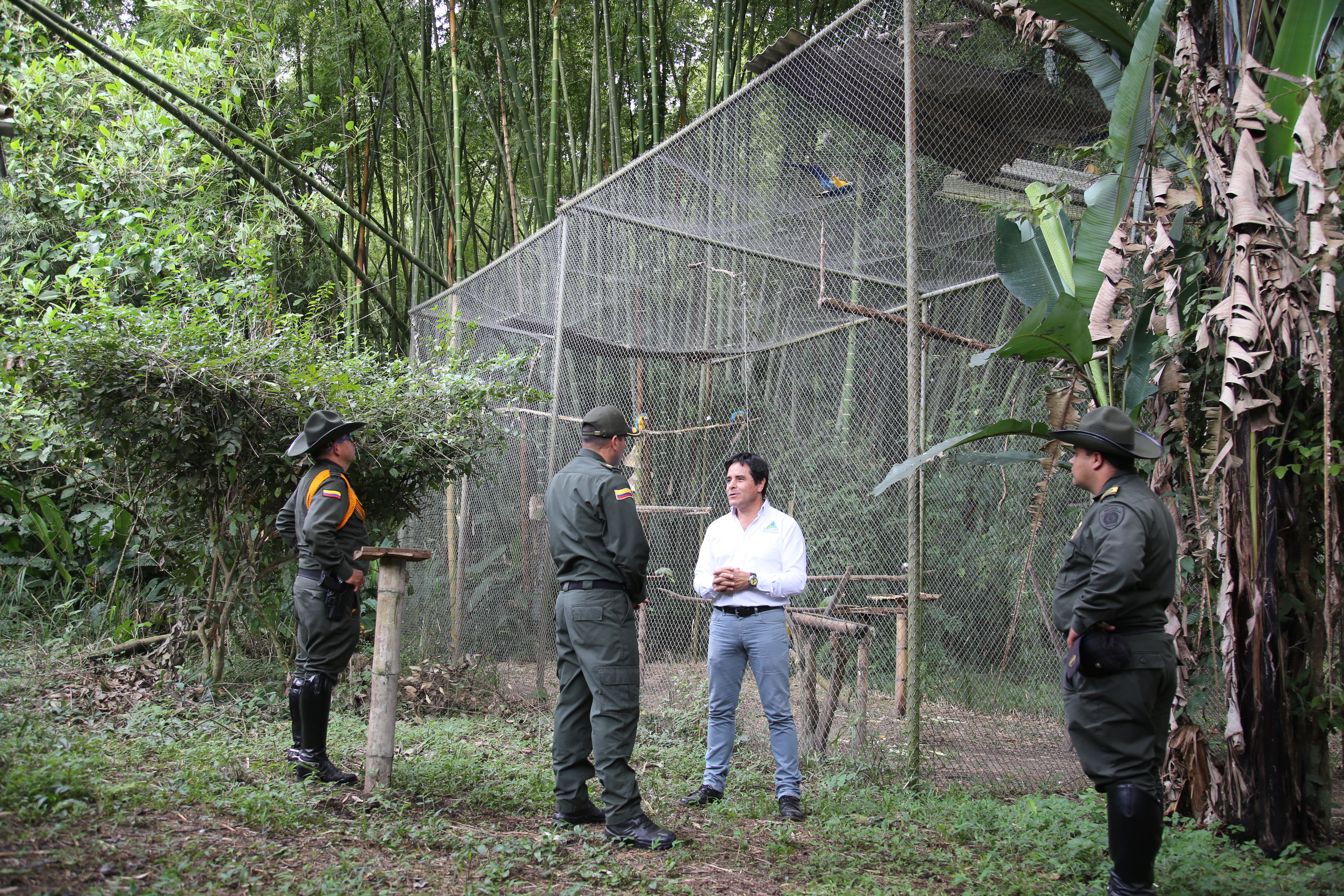 espacio_recuperacion_fauna_que_estaba_cautiverio proceso_de_recuperacion_fauna