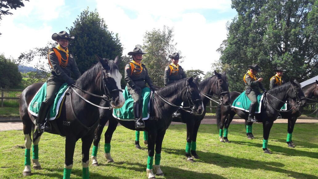 Semillero de los mejores mulares para el servicio de la ciudadanía.