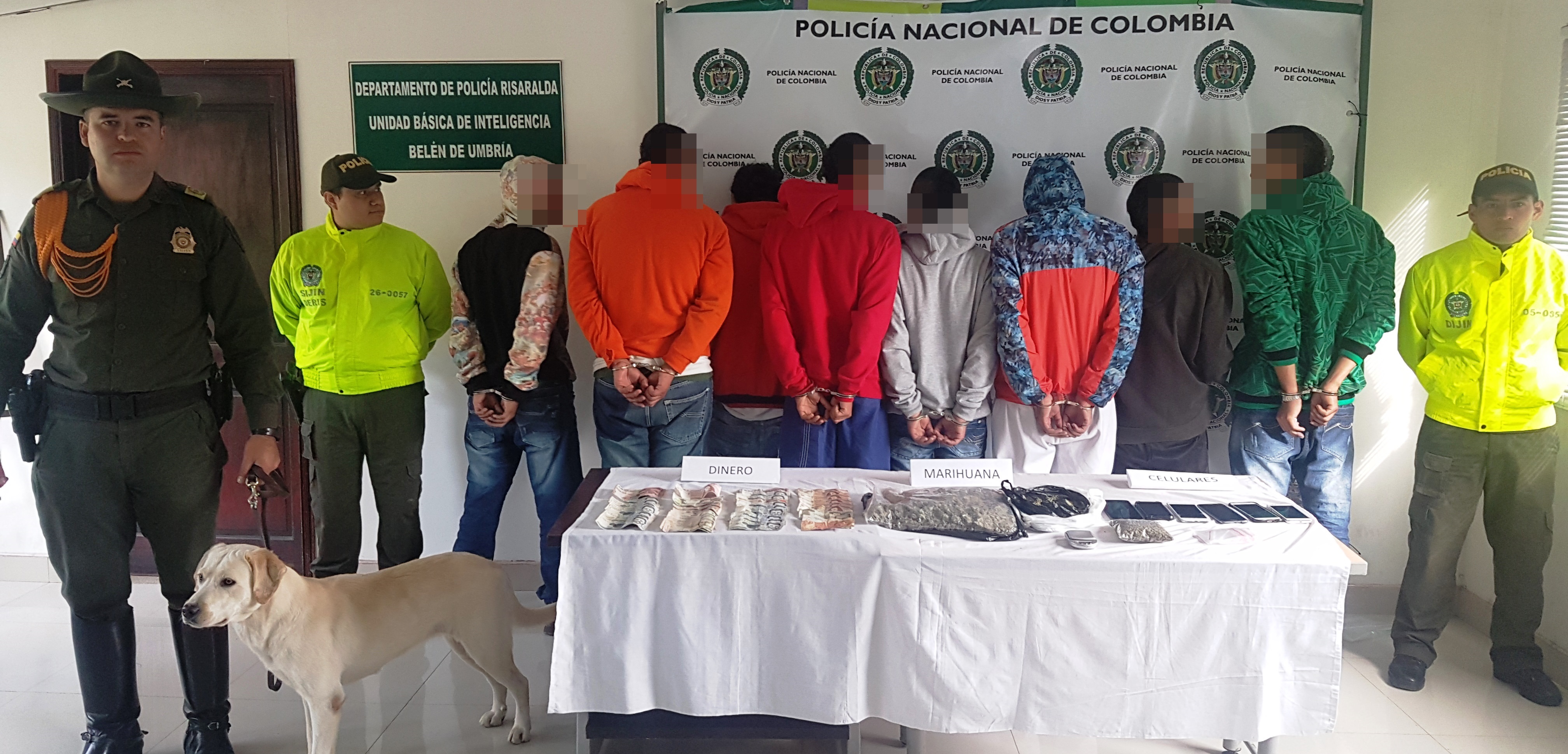 Allanamientos realizados de manera simultánea permitieron la captura de nueve personas 09 detenidos dejaron los allanamientos en Belén de Umbría