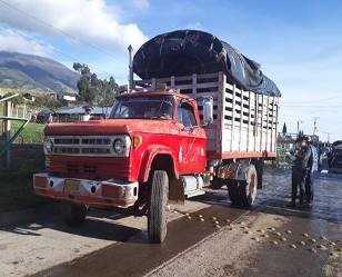 Ganado incautado por inconsistencias en documentación Ganado incautado por inconsistencias en documentación