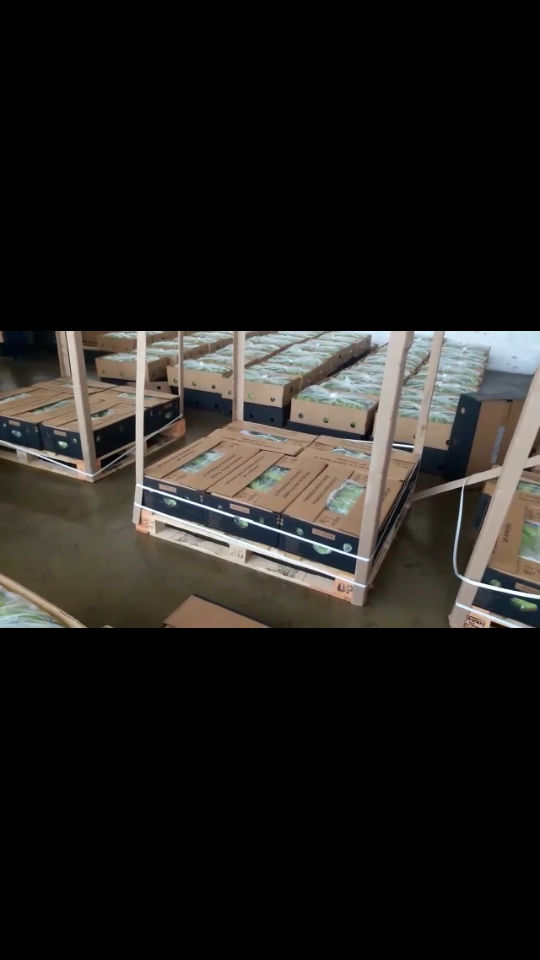 Incautamos-209-kilos-de-cocaína-ocultos-en-cajas-de-banano. Incautamos-209-kilos-de-cocaína-ocultos-en-cajas-de-banano.