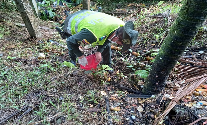 32 kilos de caracol gigante fueron hallados en barrio los castillos de Quibdó 32 kilos de caracol gigante fueron hallados en barrio los castillos de Quibdó
