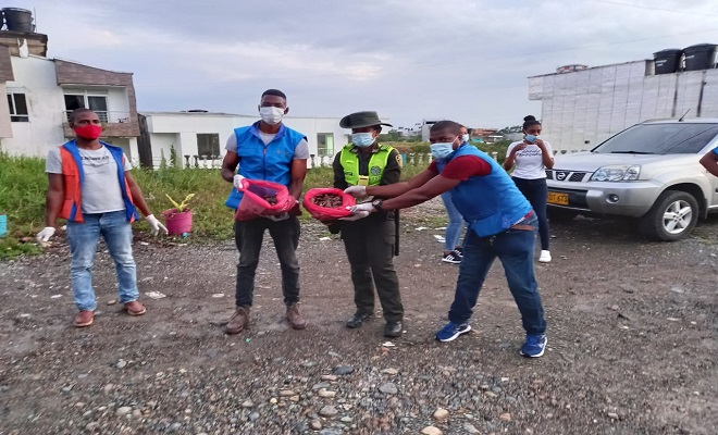 32 kilos de caracol gigante fueron hallados en barrio los castillos de Quibdó 32 kilos de caracol gigante fueron hallados en barrio los castillos de Quibdó