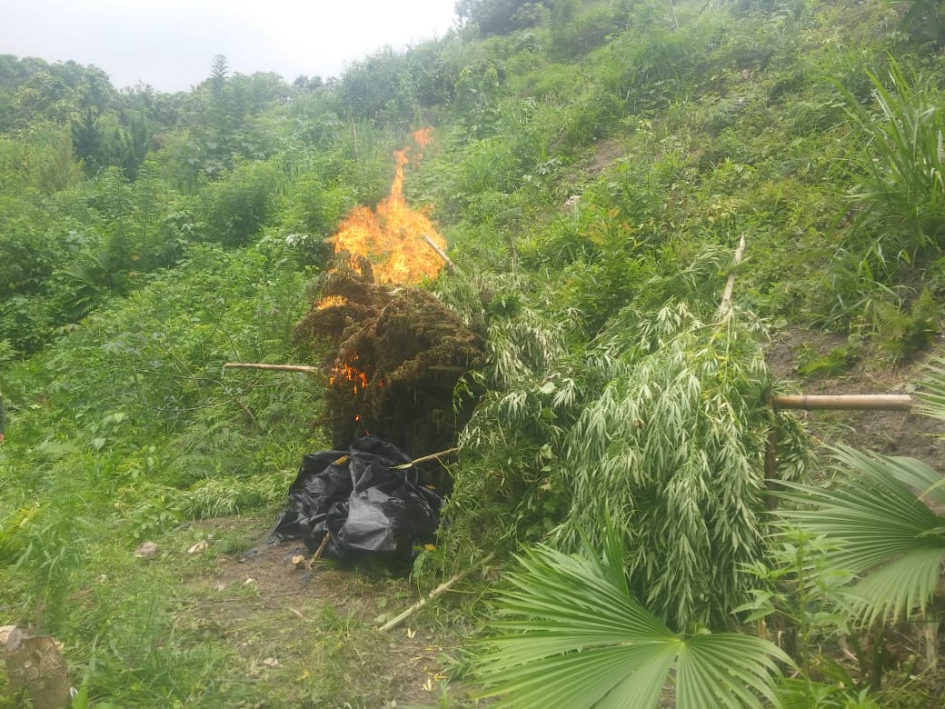 Hallamos-400-kilos-de-marihuana-en-Santa-Marta  Hallamos-400-kilos-de-marihuana-en-Santa-Marta