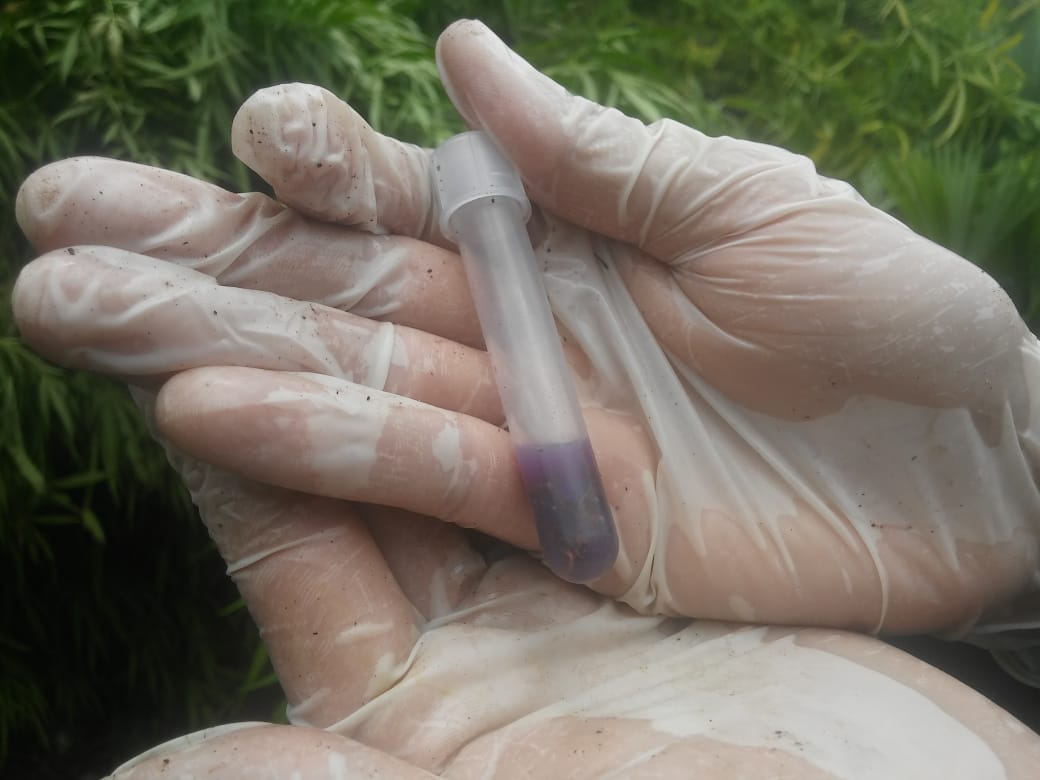 Hallamos-400-kilos-de-marihuana-en-Santa-Marta  Hallamos-400-kilos-de-marihuana-en-Santa-Marta