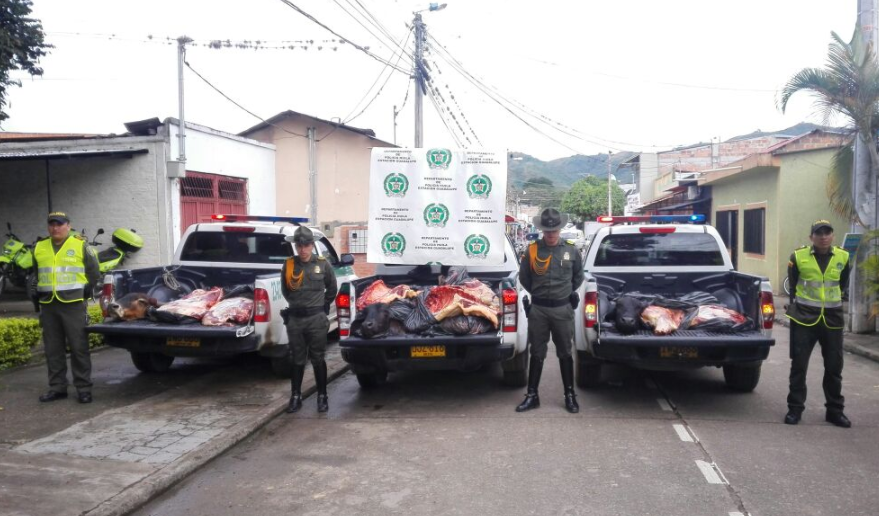 600 kilos de carne incautada