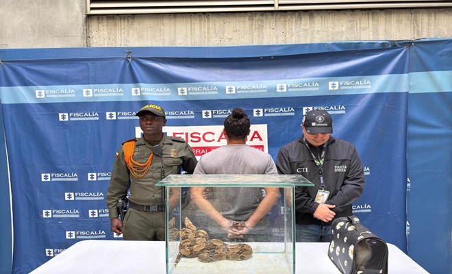 Capturado en Medellín un hombre por aprovechamiento ilícito de recursos naturales renovables Capturado en Medellín un hombre por aprovechamiento ilícito de recursos naturales renovables