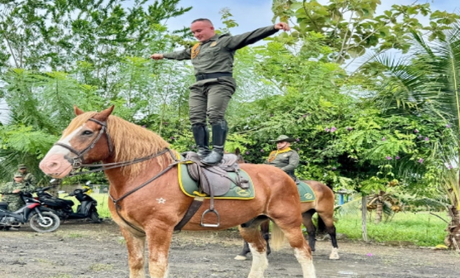 Un policía Montado de pie en su caballo haciendo un show