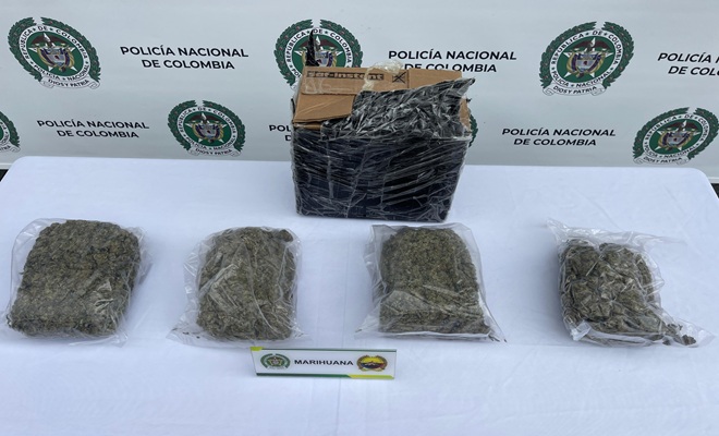 incautación de marihuana