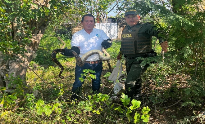 Un polic&iacute;a y un funcionario de  Corporaci&oacute;n Regional Sur de Bol&iacute;var (CSB)