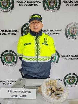 Policía incauta marihuana abandonada en zona boscosa  Por un País Sin Drogas