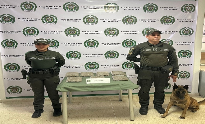 La Polic&iacute;a Nacional incauta 6,5 kilogramos de marihuana bajo la modalidad de encomiendas