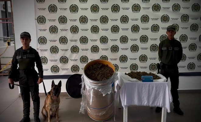 Dos uniformados de la Polic&iacute;a Nacional, un canino y marihuana incautada 
