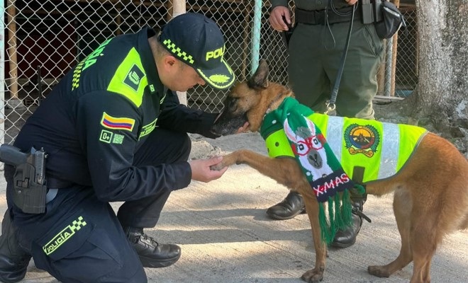 Millones de animales sufren cada a&ntilde;o por la p&oacute;lvora; Polic&iacute;a Nacional hace un llamado a la empat&iacute;a y la responsabilidad durante las celebraciones.