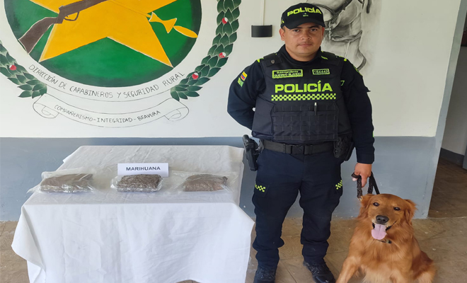 Incautación-de-marihuana-en-empresa-de-mensajería-en-Dosquebradas