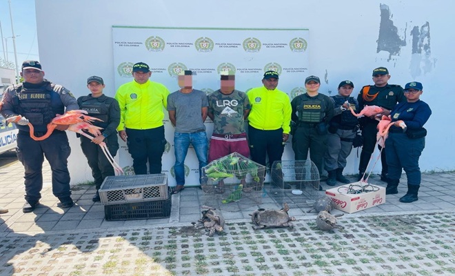 Personas capturadas por traficar especies silvestres