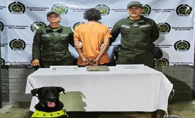 Perro delante de droga incautada, junto con detenido y dos polic&iacute;as