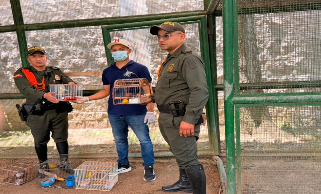 dos uniformados de la seccional de carabineros y protección ambiental realizan entrega a un funcionario de  la CAV  canarios 