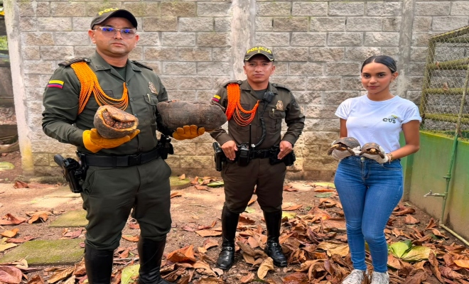 dosdos  uniformados de la seccional de carabineros y protección ambiental junto a funcionaria de la CVA