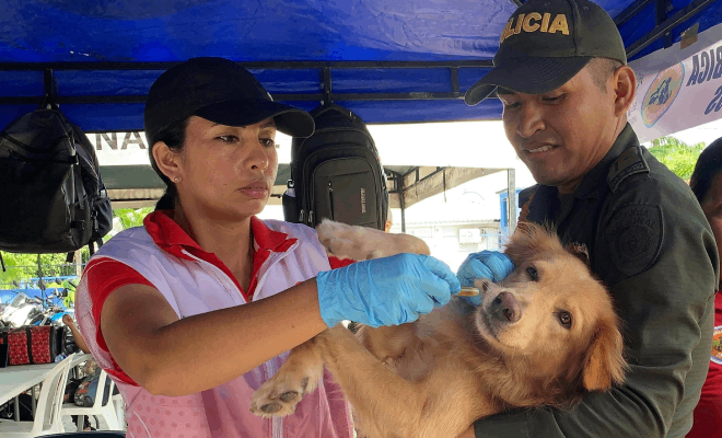 En el Parque Santander se brindó atención integral a mascotas, en una actividad interinstitucional orientada a la protección animal y la tenencia responsable.