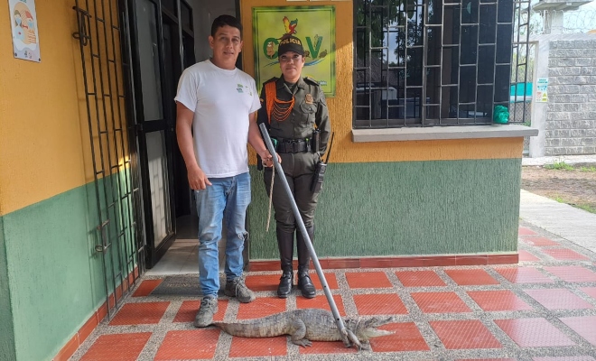 protección a los animales 