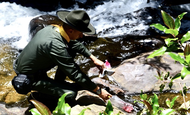 Recolección basuras afluentes hídricos Recolección basuras afluentes hídricos