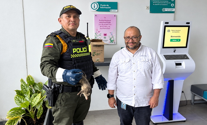 Se observa un Policía de Carabineros entregando una zarigüeya a un funcionario de Cormacarena  quien se encargará de la valoración y protección  del  animal