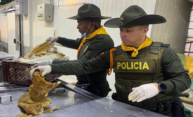 Pescado incautado el cual se encontraba en malas condiciones Pescado incautado el cual se encontraba en malas condiciones