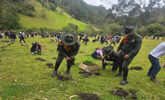 Más_de_siete_mil_árboles_fueron_sembrados_en_Nariño Actividad_ecológica_en_Nariño