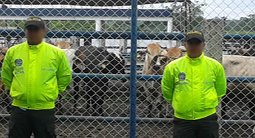 La denuncia, la mejor aliada de la seguridad La denuncia, la mejor aliada de la seguridad