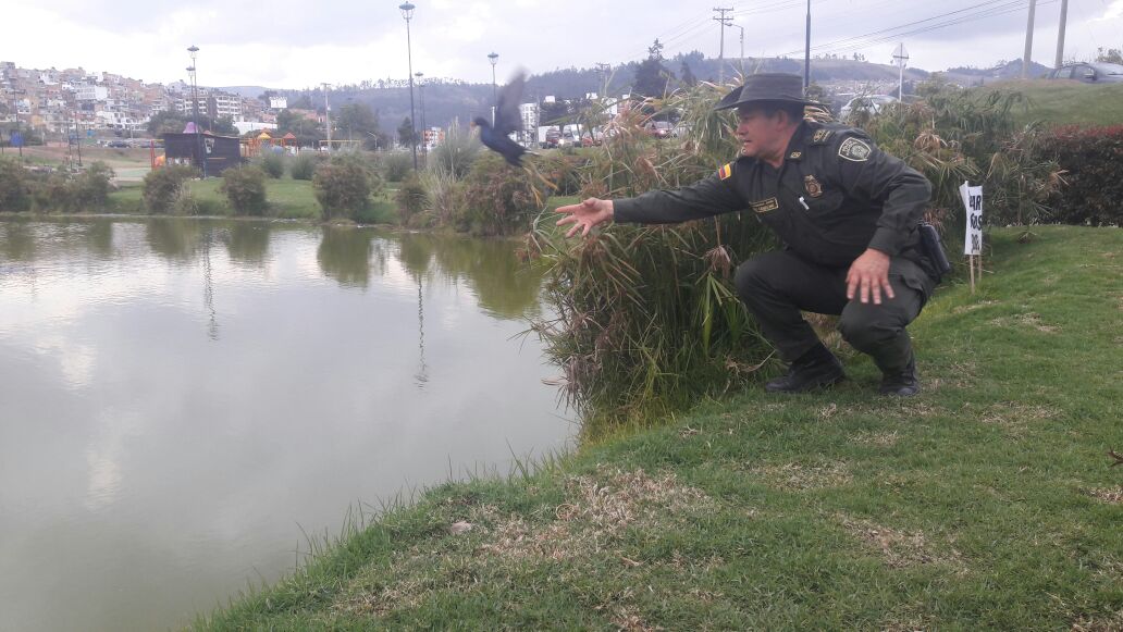 Protegemos la fauna y flora de nuestro país  actividades-de-proteccion