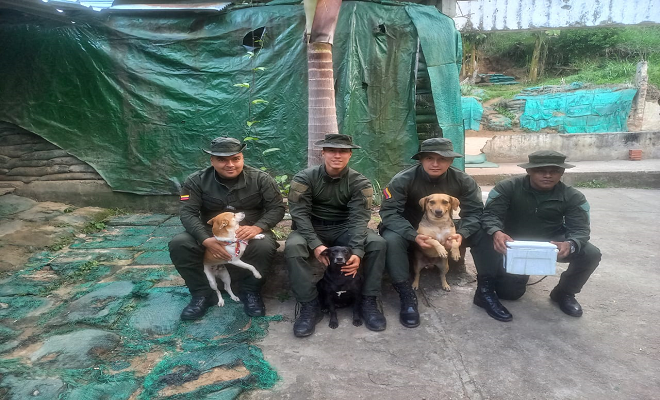 Amigos de 4 patas, fueron adoptados por los uniformados de la subestación de policía Vegalarga