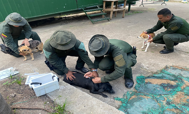 Amigos de 4 patas, fueron adoptados por los uniformados de la subestación de policia