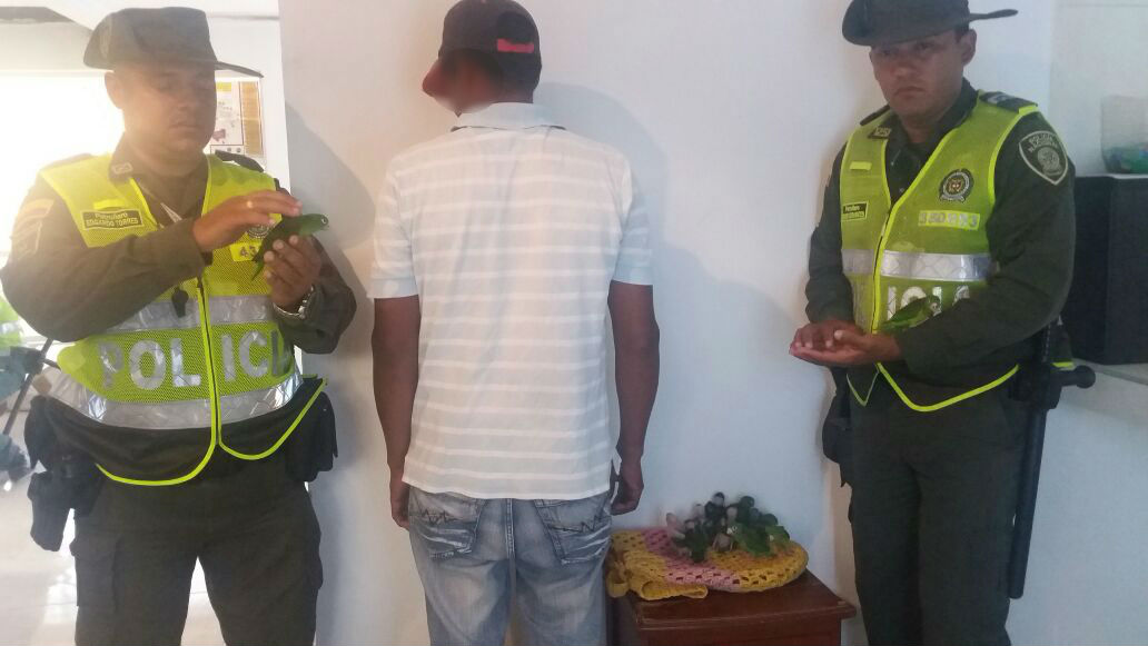 Aves-rescatadas-y-persona-capturada Aves-rescatadas-y-persona-capturada