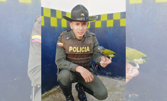 Rescate fauna silvestre 