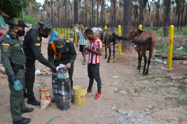 Brigada-para-prevenir-el-maltrato-de-equinos