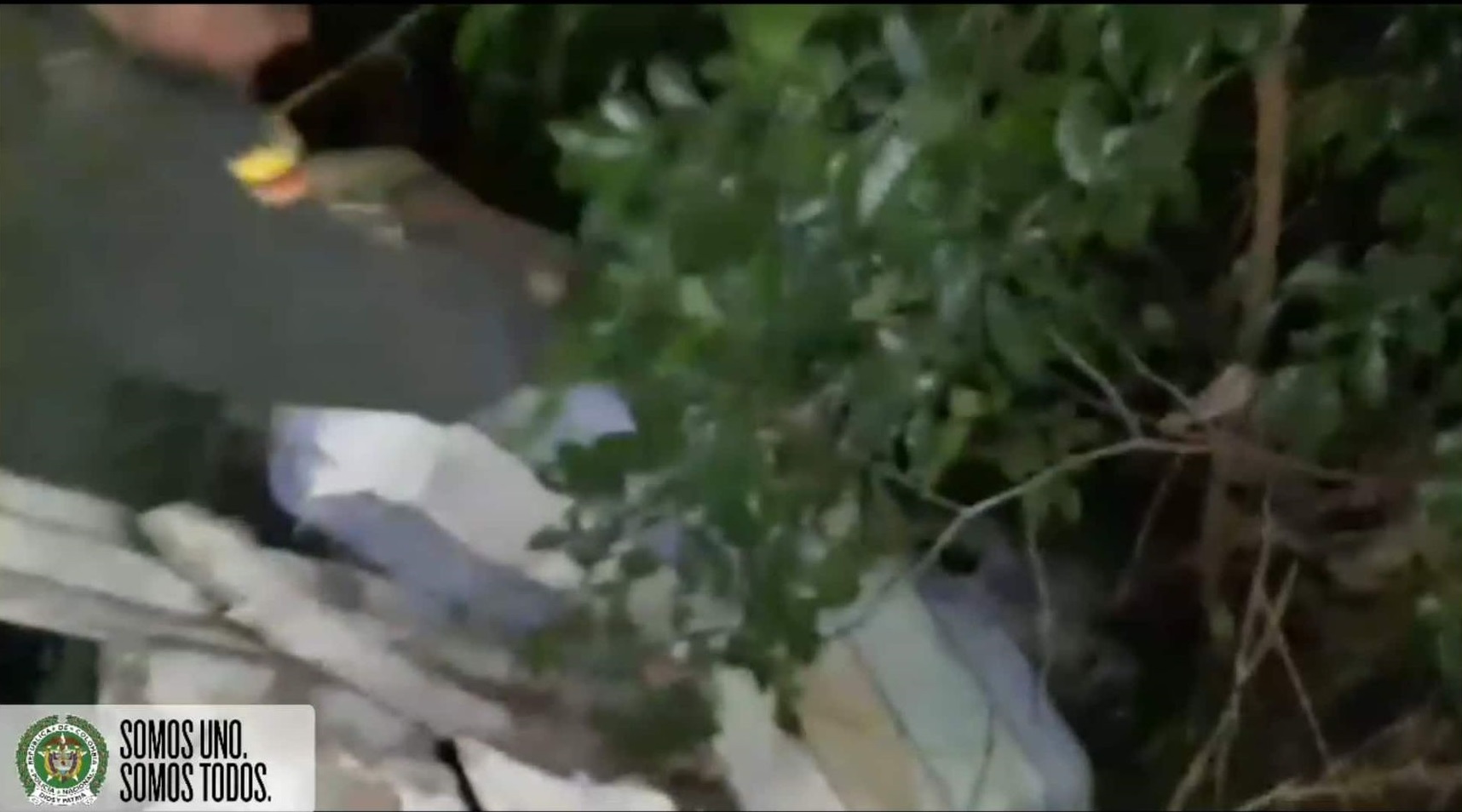 Lote Baldío donde descargaron la marihuana  bultos_de_marihuana