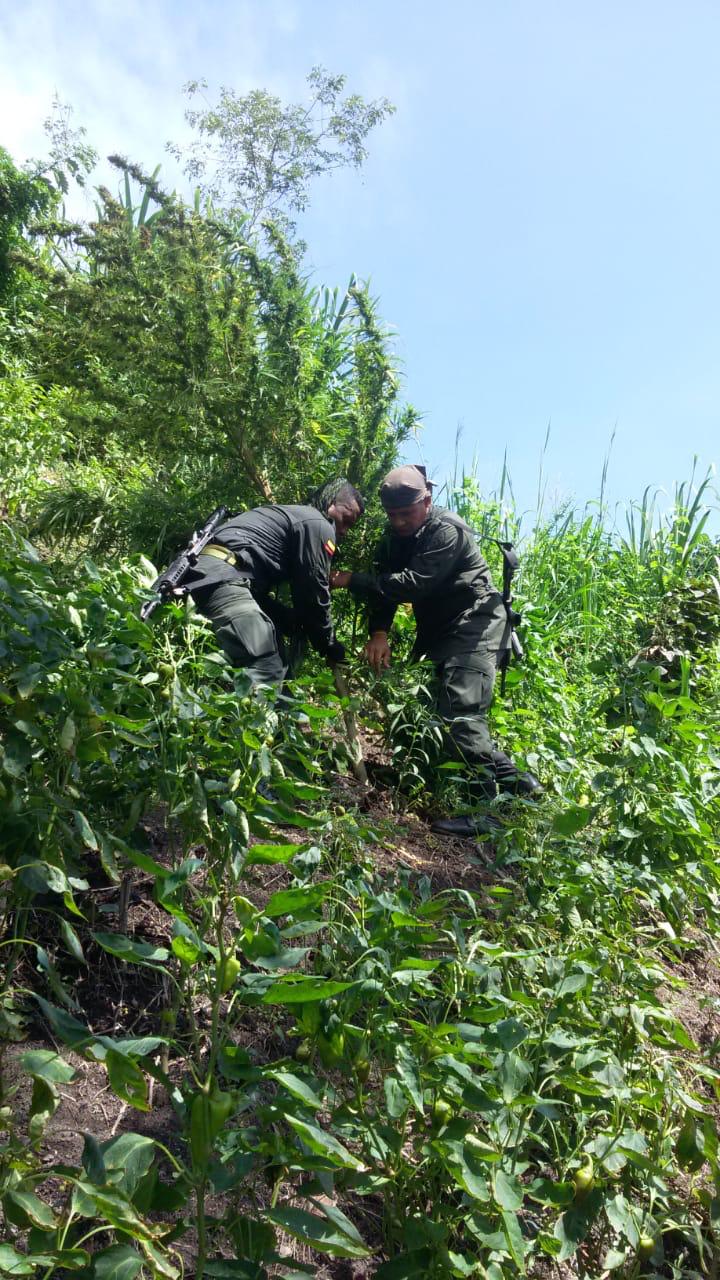 Buzos-de-la-Policía-Antinarcóticos-encontraron-cocaína  Buzos-de-la-Policía-Antinarcóticos-encontraron-cocaína