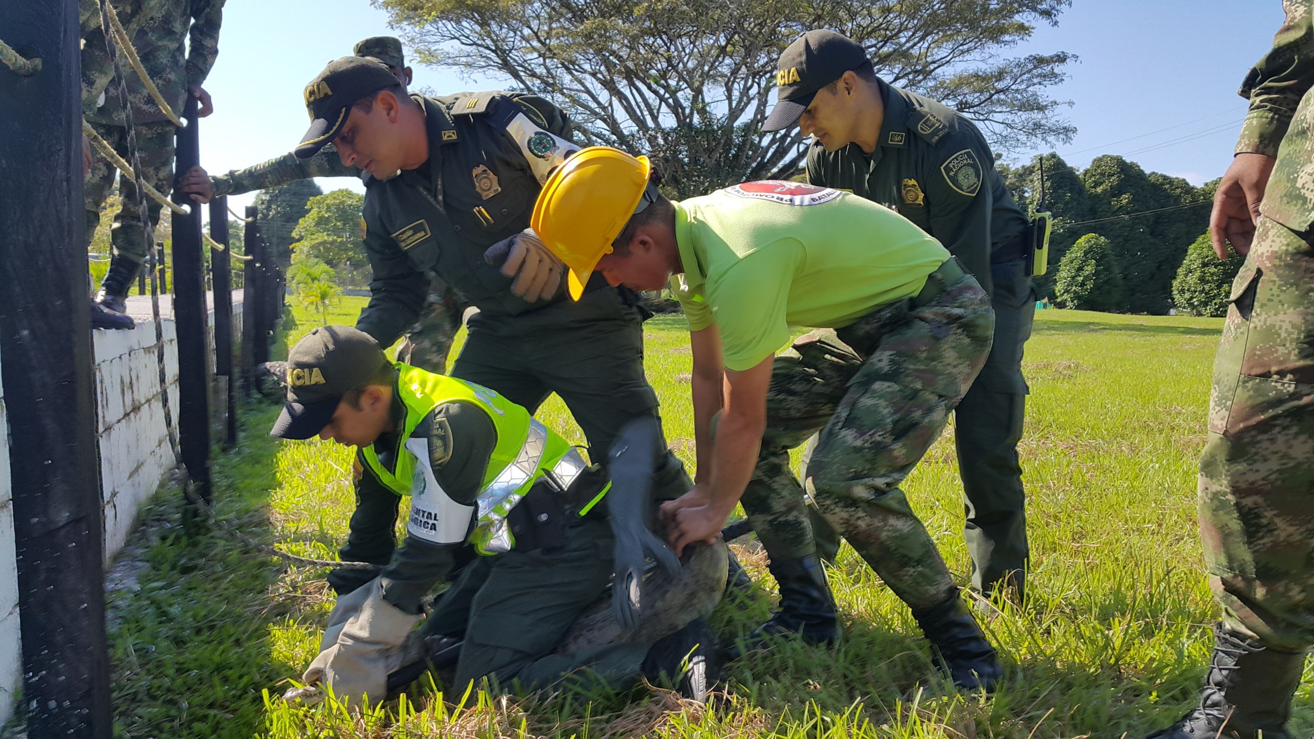 Policía Nacional rescata caimán en predios del Ejército Nacional. 