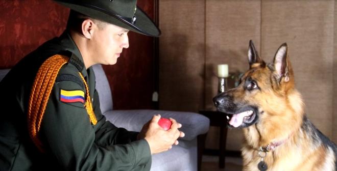 Subintendente de la Policía en Cali, entrenó a un canino para salvar la vida de su cuidadora Subintendente de la Policía en Cali, entrenó a un canino para salvar la vida de su cuidadora