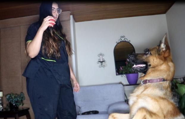 Subintendente de la Policía en Cali, entrenó a un canino para salvar la vida de su cuidadora Subintendente de la Policía en Cali, entrenó a un canino para salvar la vida de su cuidadora