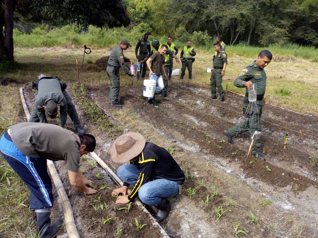 Capacitados-Sena-a-Policias-Valle-Del-Cauca-en-Palmira 