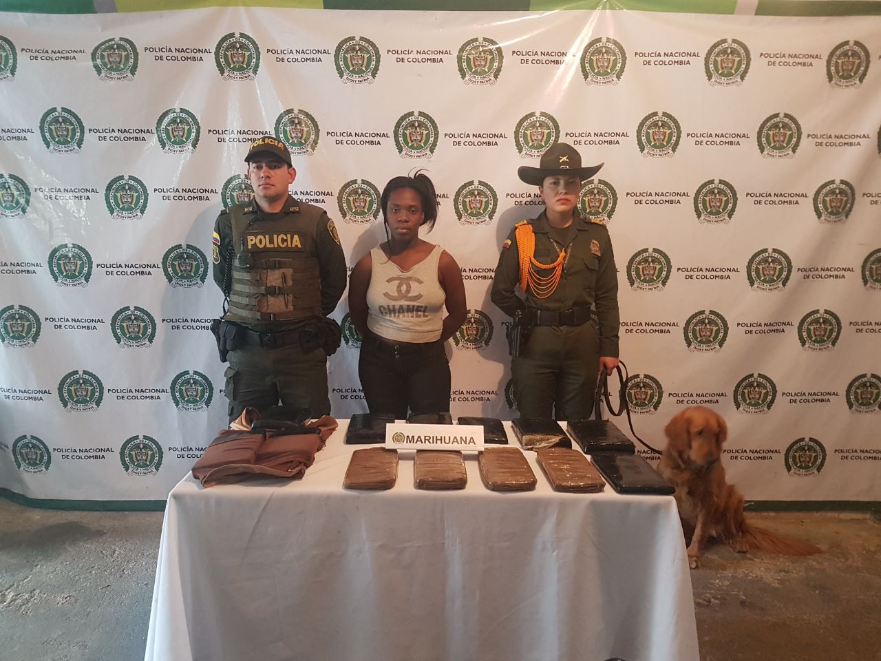 Capturamos mujer en la terminal terrestre de Pasto con 10 kilos de marihuana Llevaba faja reductora cargada de narcóticos