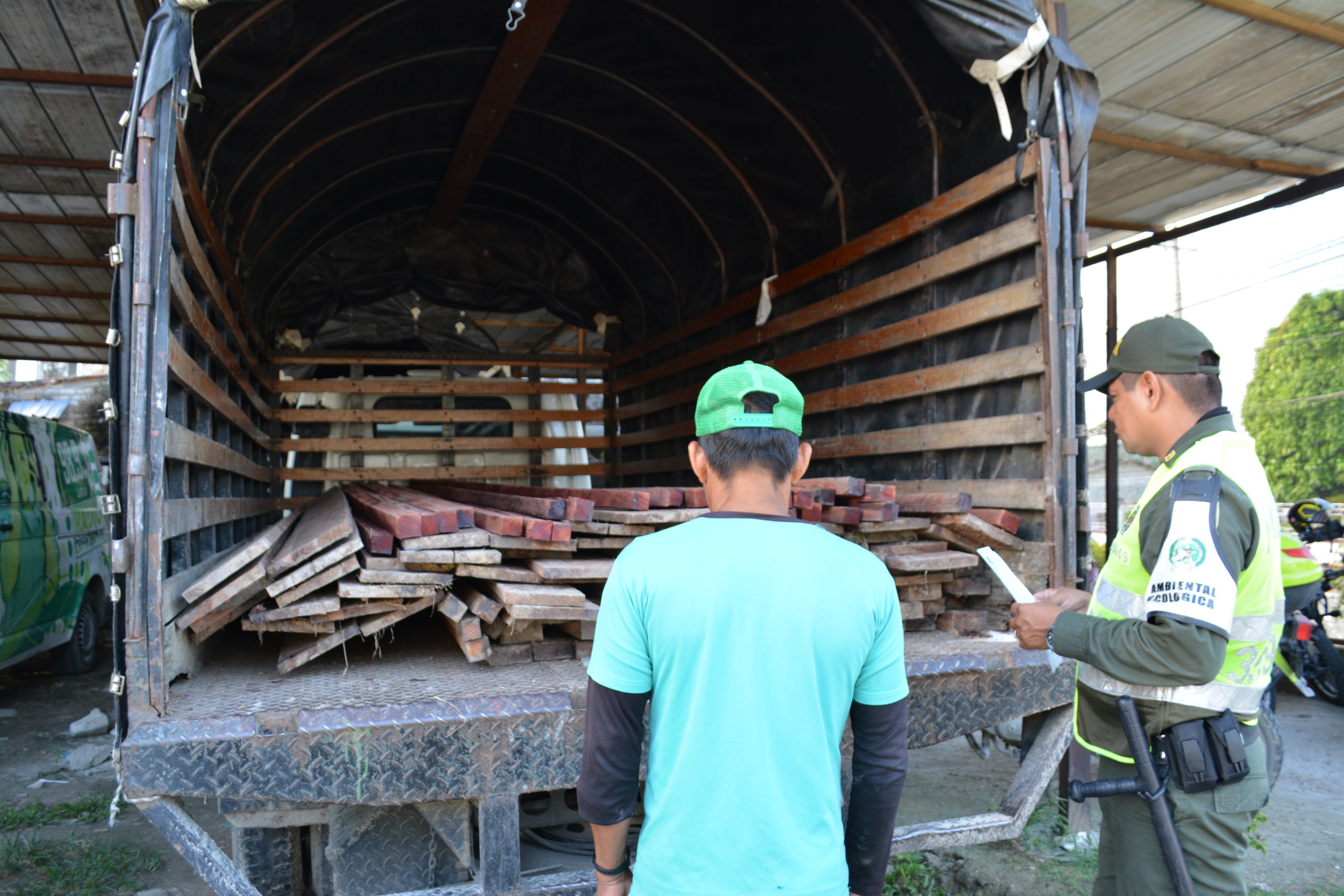 Capturado sujeto que transportaba madera de la especie “mata – mata” 