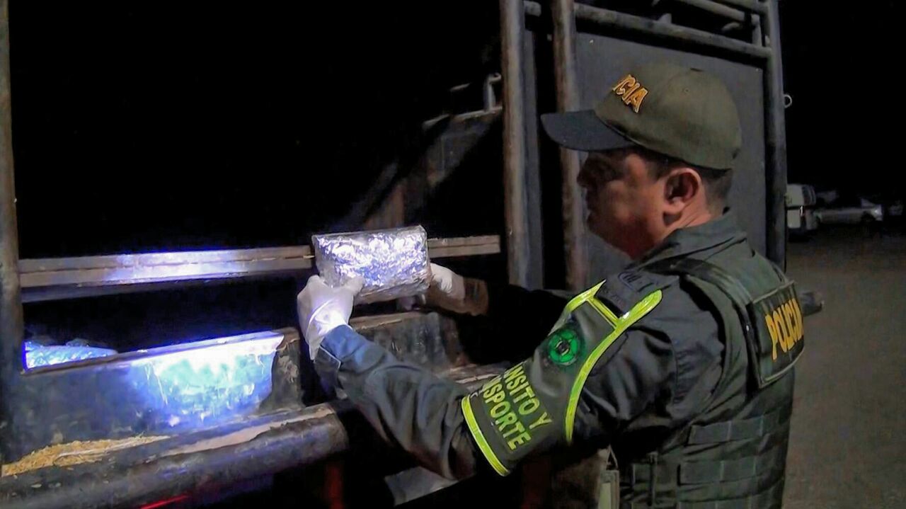 Capturado-hombre-quien-fue-sorprendido-transportando-más-de-cien-mil-gramos-de-marihuana-cripy 