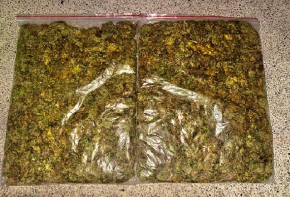 marihuana incautada