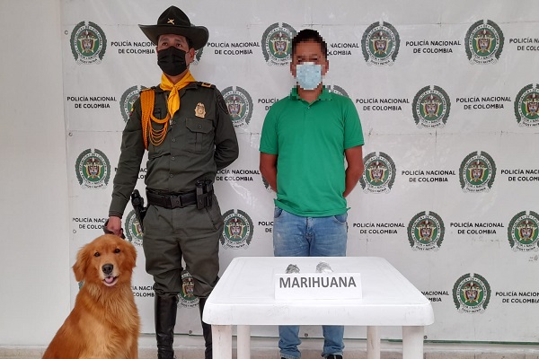 OPERATIVOS CONTRA EL MICROTRÁFICO Cuatro capturados, con bazuco, marihuana y cocaína.